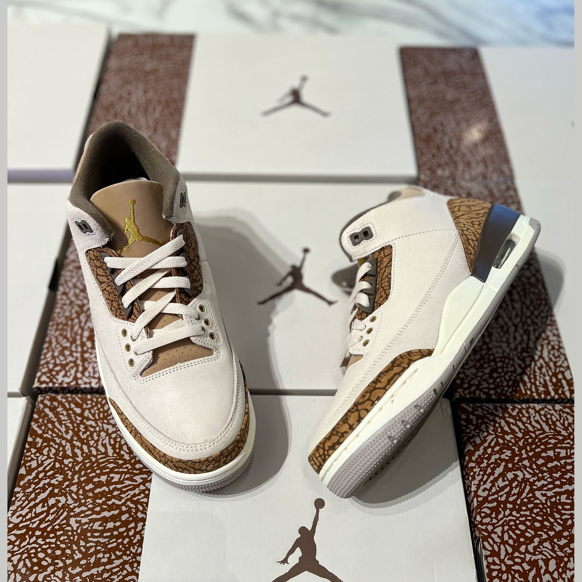 Jordan 3 “Palomino” Footwear