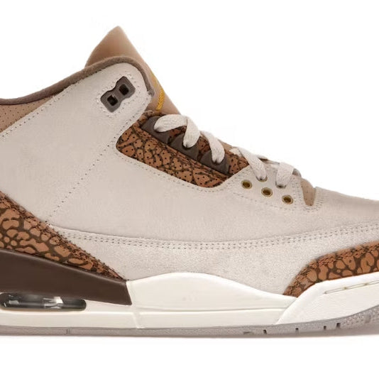 Jordan 3 “Palomino” GS Footwear