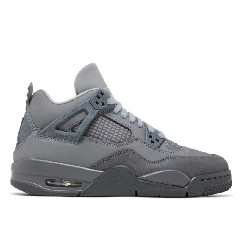 Jordan 4 “Paris” Footwear