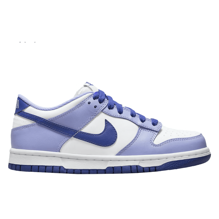 Nike Dunk Lo "Blueberry" Footwear